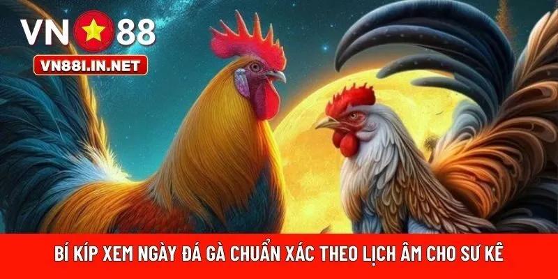 bí kíp xem ngày đá gà