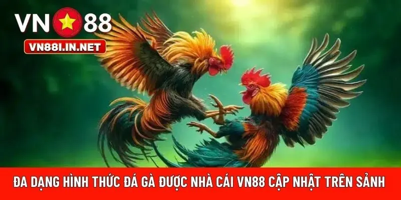 Đa dạng hình thức đá gà 