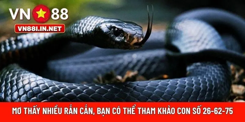 Mơ thấy nhiều rắn cắn