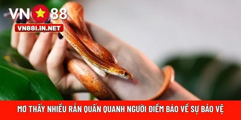 Mơ thấy nhiều rắn quấn quanh người 