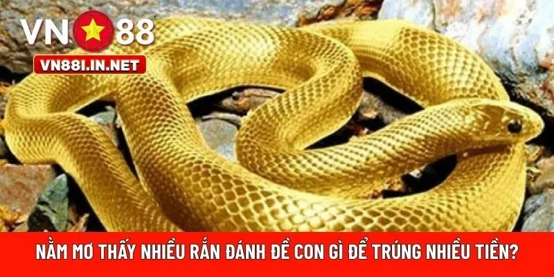 Nằm mơ thấy nhiều rắn đánh đề con gì