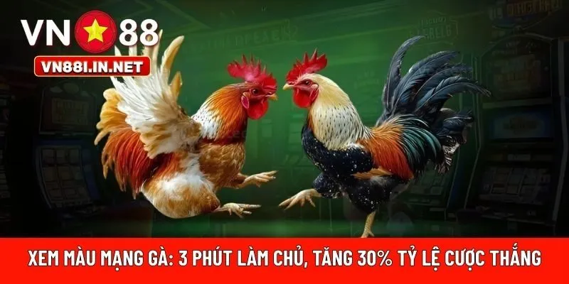 Xem màu mạng gà